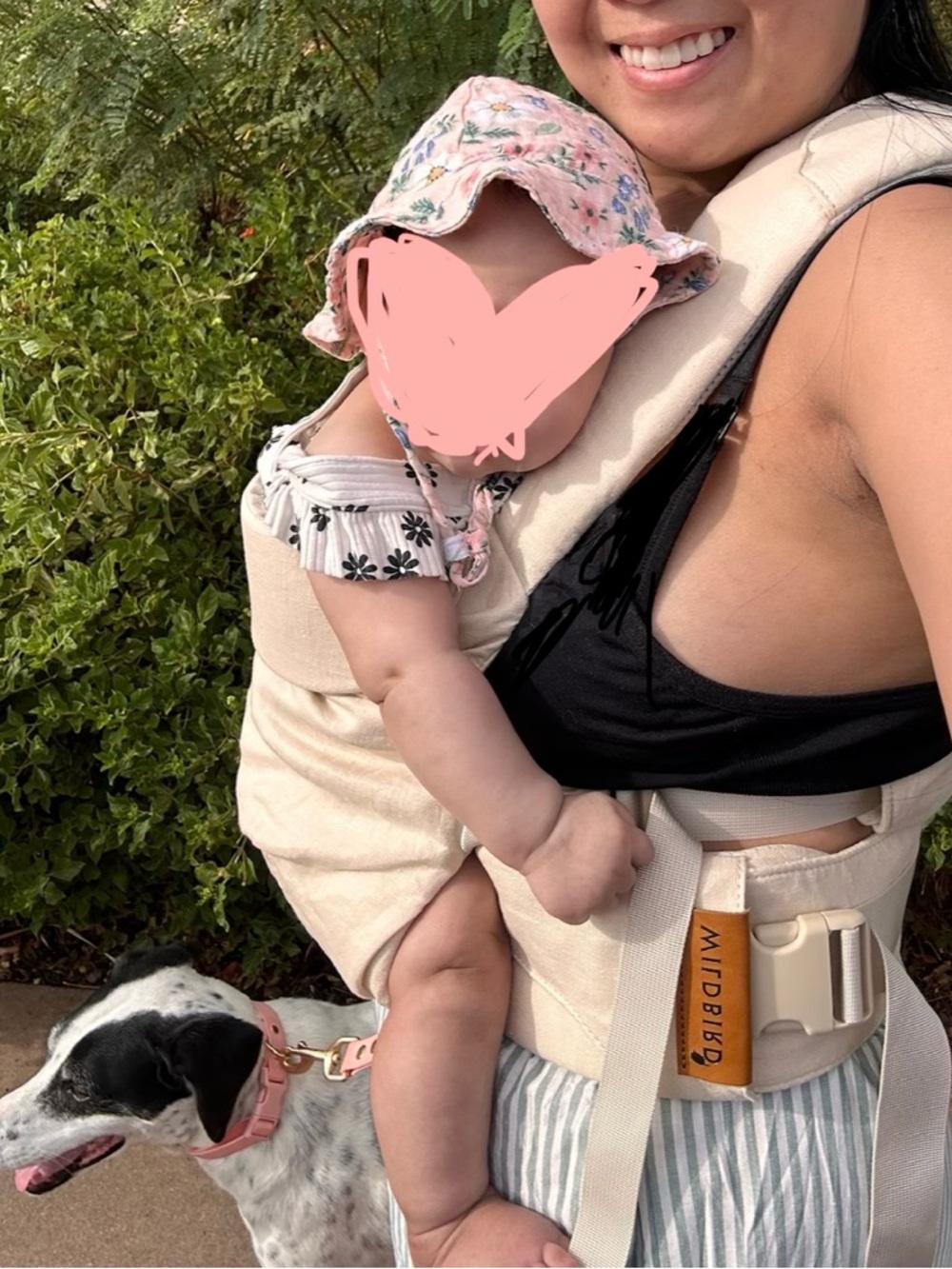 WildBird aerial carrier sparrow